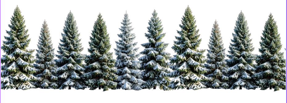 Trees with snow border